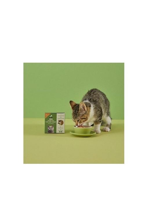 Kito Fresh Kuzu Etli Hipoalerjenik Taze Kedi Yemeği 85 Gr