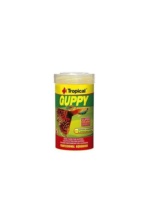 Tropical Guppy Lepistes Balıkları için Pul Balık Yemi 250 Ml 50 Gr