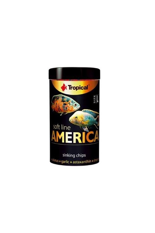 Tropical Softline American Ciklet Cips Balık Yemi Large 100 Ml 52 Gr