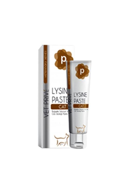 Vet Prive Veterinary Lysine Bağışıklık Solunum ve Göz Desteği Veren Kedi Vitamini Malt Macunu 100 Gr