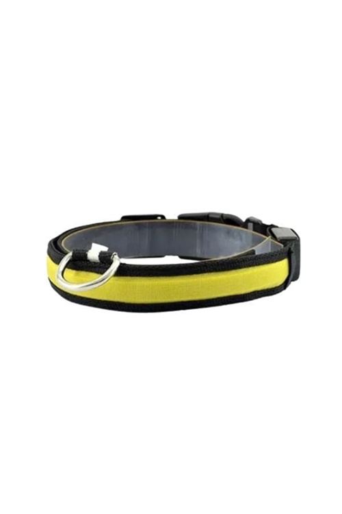 Petzz Işıklı Ayarlanabilir Flaşörlü Kedi ve Köpek Boyun Tasması Sarı 45-52 Cm / 2.5 Cm