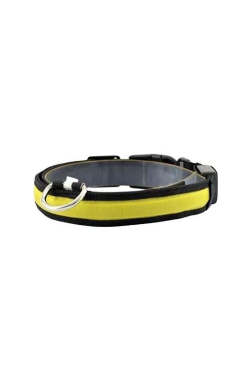Petzz Işıklı Ayarlanabilir Flaşörlü Kedi ve Köpek Boyun Tasması Sarı 40-48 Cm / 2.5 Cm