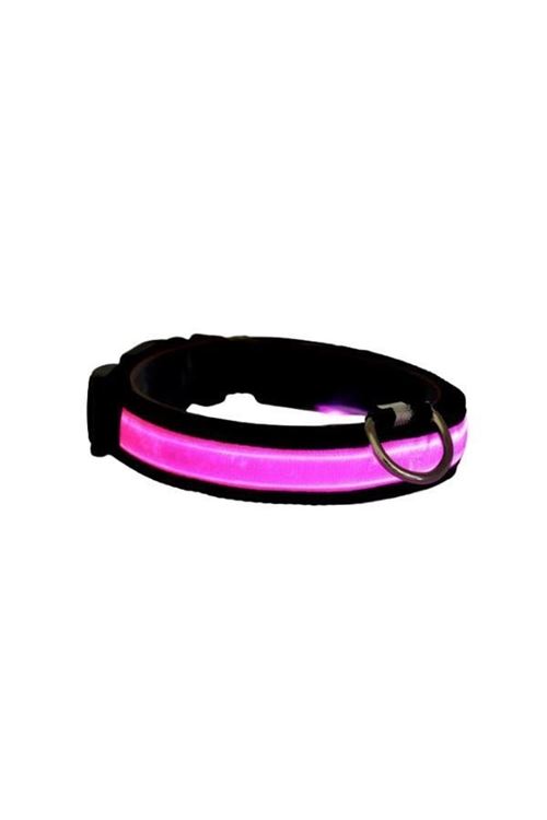 Petzz Işıklı Ayarlanabilir Flaşörlü Kedi ve Köpek Boyun Tasması Pembe 40-48 Cm / 2.5 Cm
