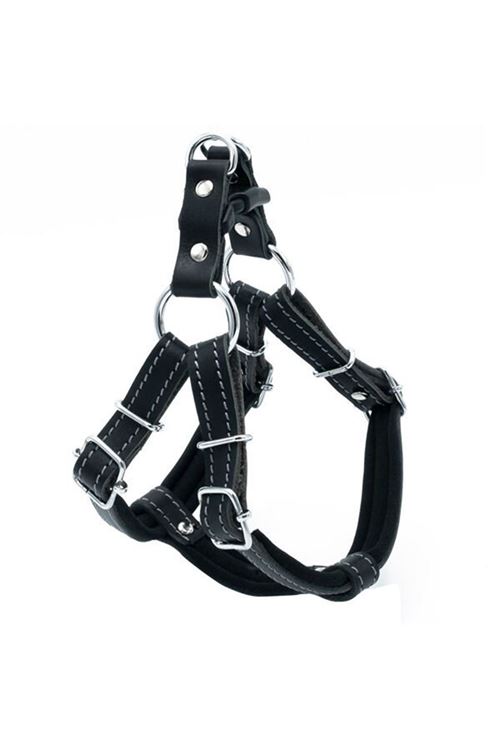 Doggie Konfor Deri Ronin Köpek Göğüs Tasması Small Siyah 1.5x40 45 Cm
