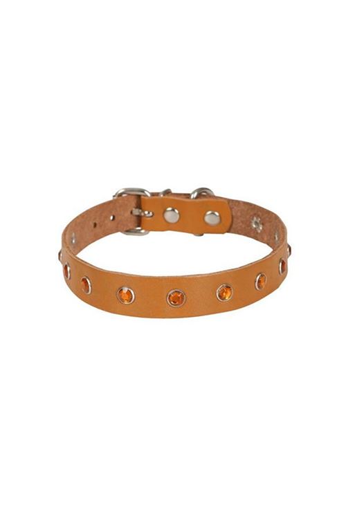 Cattie Gerçek Deriden Taşlı Kedi Boyun Tasması Xlarge Camel 1.5x26-31 Cm