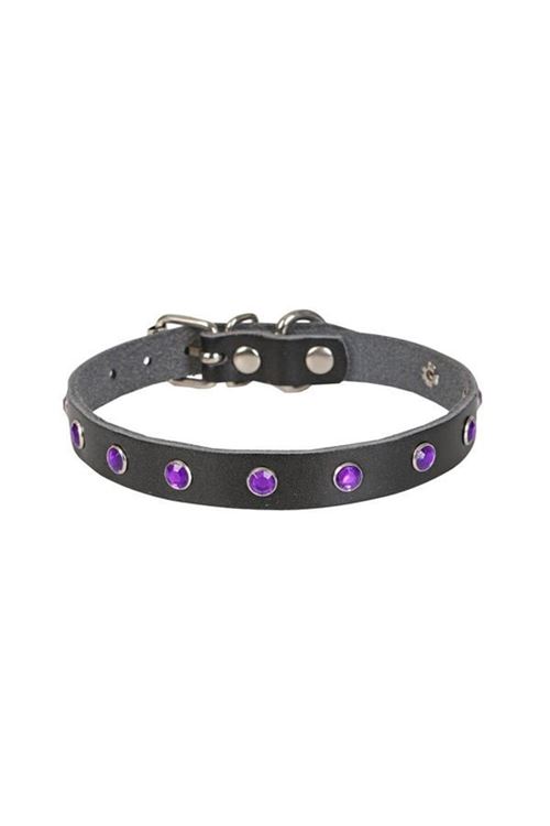 Cattie Gerçek Deriden Taşlı Kedi Boyun Tasması Large Siyah 1.2x23-28 Cm