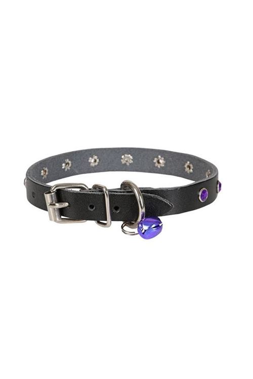 Cattie Gerçek Deriden Taşlı Kedi Boyun Tasması Large Siyah 1.2x23-28 Cm