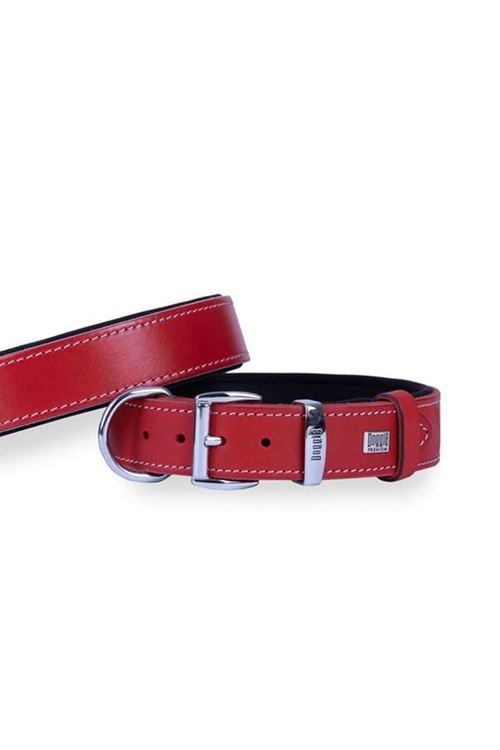 Doggie Konfor Deri Köpek Boyun Tasması Large Camel 3.5x52 60 Cm