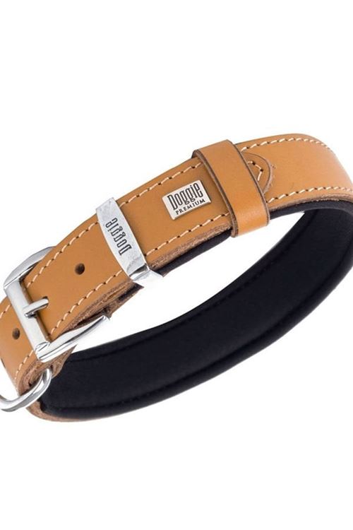 Doggie Comfort Deri Nazar Boncuklu Köpek Boyun Tasması Medium Camel 3x42-50 Cm