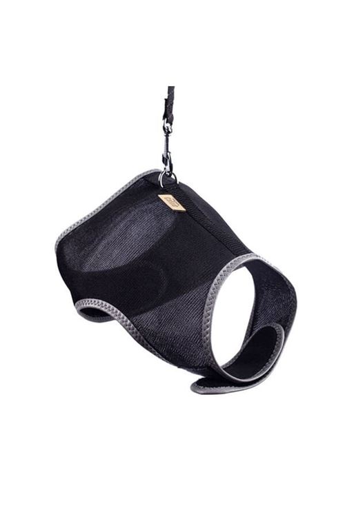 Cattie Havalı Dokuma Kedi Göğüs ve Gezdirme Takımı Large Siyah 1.5x30-40 Cm