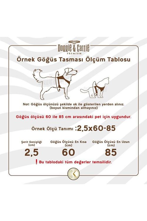 Cattie Havalı Dokuma Kedi Göğüs ve Gezdirme Takımı Large Bej 1.5x30-40 Cm