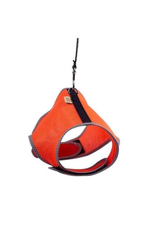 Cattie Havalı Dokuma Kedi Göğüs ve Gezdirme Takımı Large Turuncu 1.5x30-40 Cm