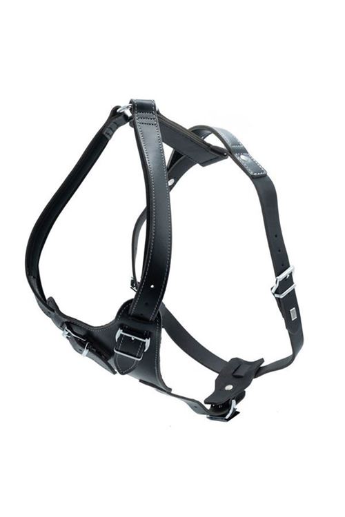 Doggie Dragon Deri Köpek Göğüs Tasması Medium Siyah 2.5x65-75 Cm