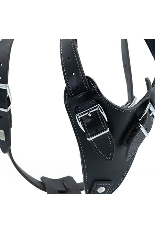 Doggie Dragon Deri Köpek Göğüs Tasması Medium Siyah 2.5x65-75 Cm