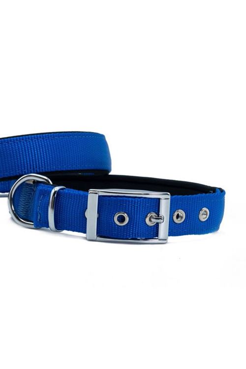 Doggie Elit Dokuma Köpek Boyun Tasması Medium Royal Mavi 2.5x37-45 Cm