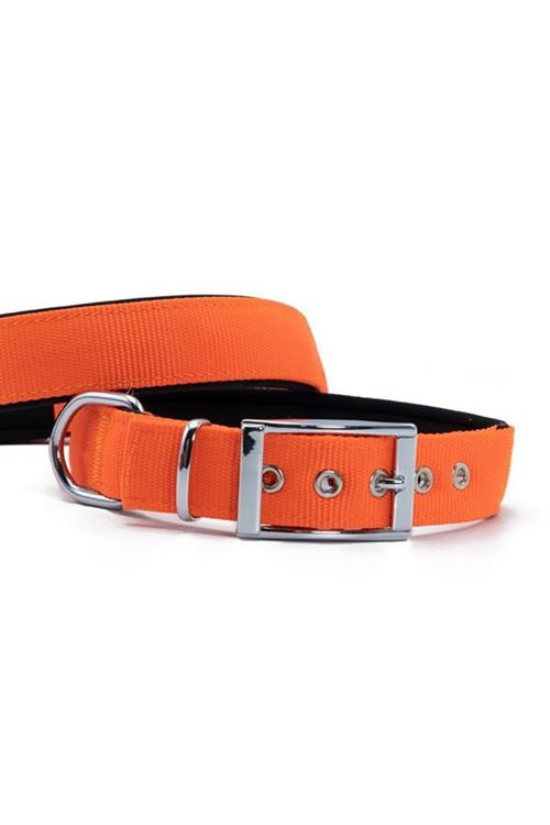 Doggie Elit Dokuma Köpek Boyun Tasması Medium Turuncu 3x42-50 Cm