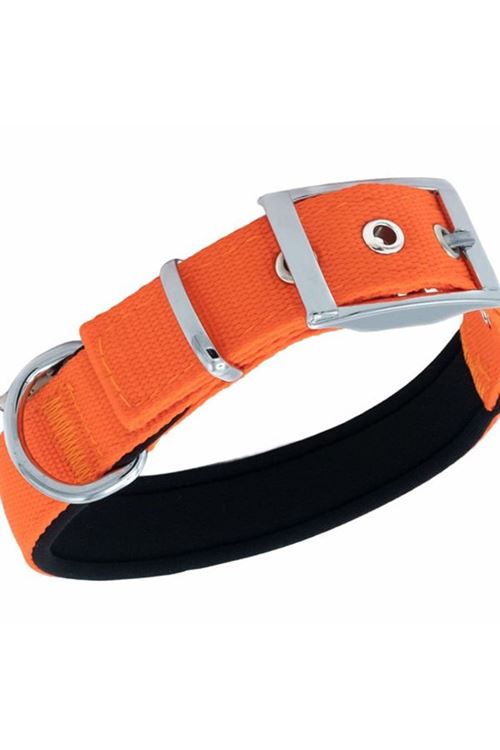 Doggie Elit Dokuma Köpek Boyun Tasması Medium Turuncu 2.5x37-45 Cm