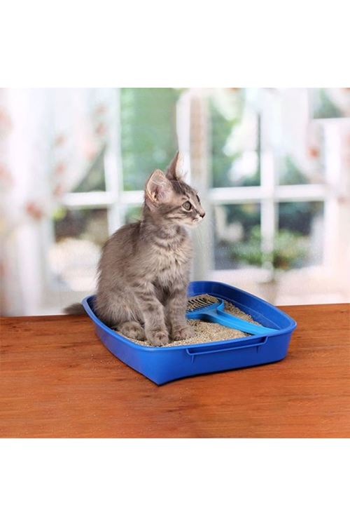 Proline Bebek Pudralı Topaklanan Bentonit Kedi Kumu İnce 20 Lt