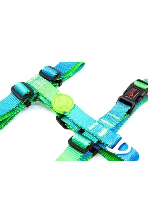 Tailpetz Amazon Desenli Köpek Göğüs Tasması Xsmall 20-34x23-38 Cm