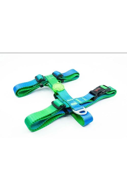 Tailpetz Amazon Desenli Köpek Göğüs Tasması Xsmall 20-34x23-38 Cm