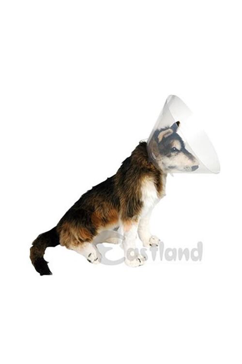 Eastland Köpek Kedi ve Köpek Elizabeth Yakalığı 20 Cm