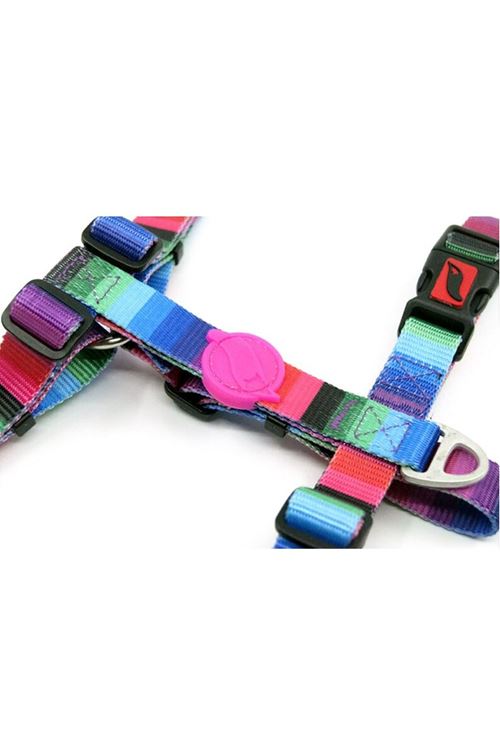 Tailpetz Wave Desenli Köpek Göğüs Tasması Small 24-38x32-51 Cm