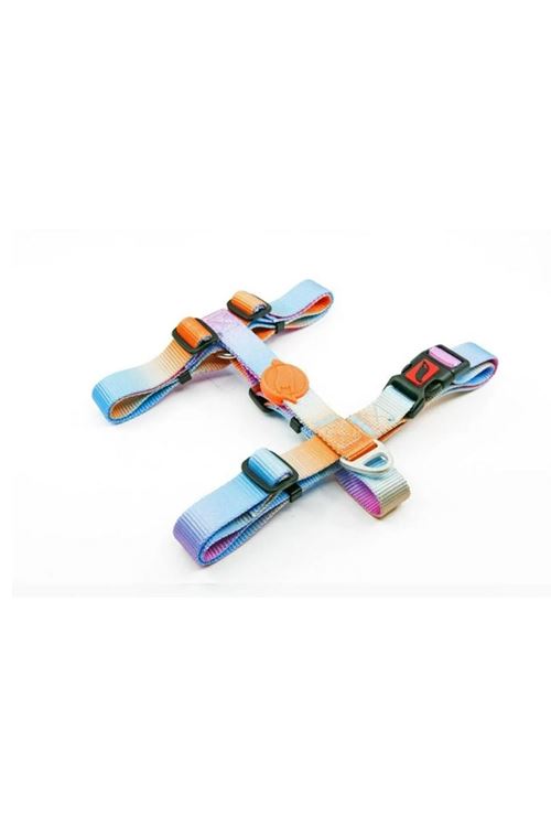 Tailpetz Pass Desenli Köpek Göğüs Tasması Xsmall 20-34x23-38 Cm