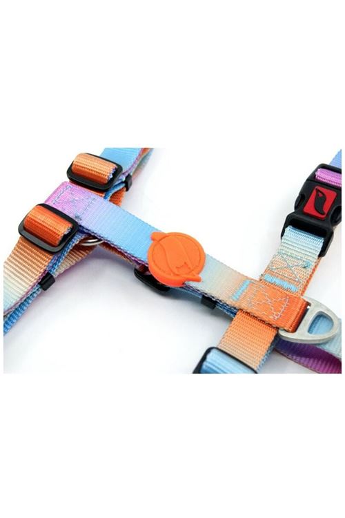 Tailpetz Pass Desenli Köpek Göğüs Tasması Xsmall 20-34x23-38 Cm