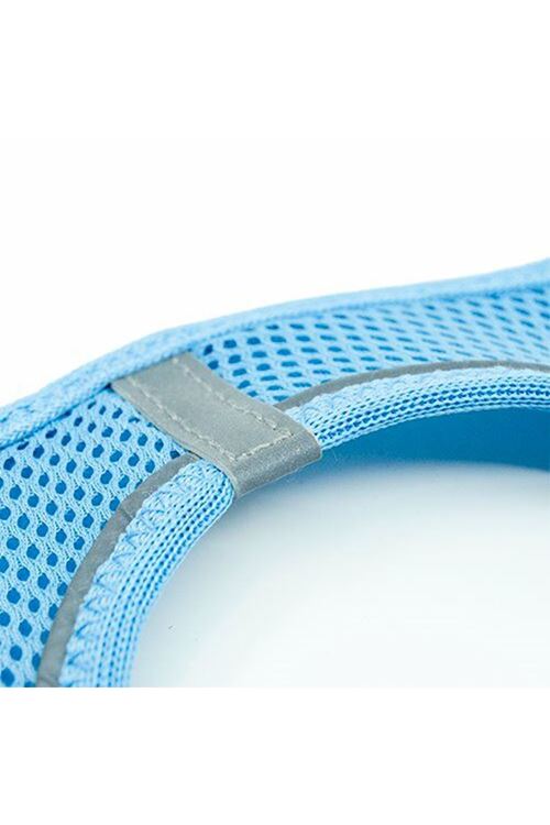 Tailpetz Air Mesh Harness Köpek Göğüs Tasması Xxxsmall Mavi 20-24x24-28 Cm