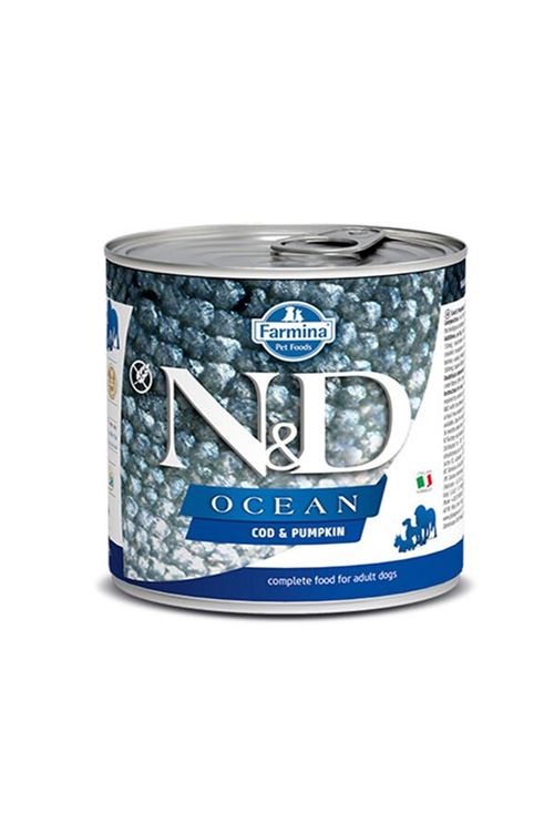 N&D Ocean Morina Balıklı ve Balkabaklı Konserve Köpek Maması 285 Gr