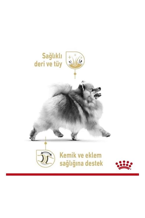 Royal Canin Pomeranian Adult Pouch Konserve Köpek Maması 85 Gr