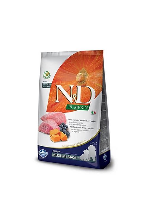 N&D Pumpkin Balkabaklı Kuzu Etli Orta ve Büyük Irk Yavru Köpek Maması 2.5 Kg