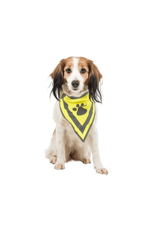 Trixie Köpek Bandanalı Tasma Small 22-28 Cm