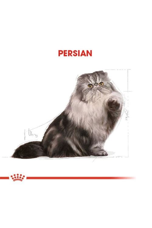 Royal Canin Persian Adult Yetişkin İran Kedisi Maması 4 Kg