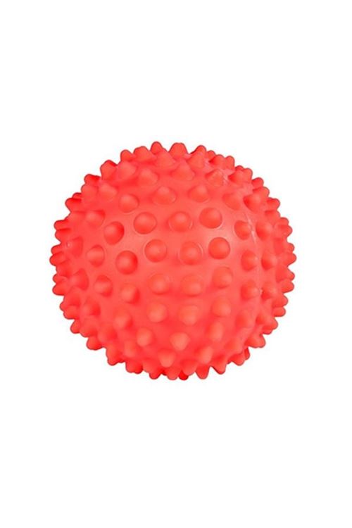 Trixie Vinil Kirpi Top Köpek Oyuncağı 16 Cm