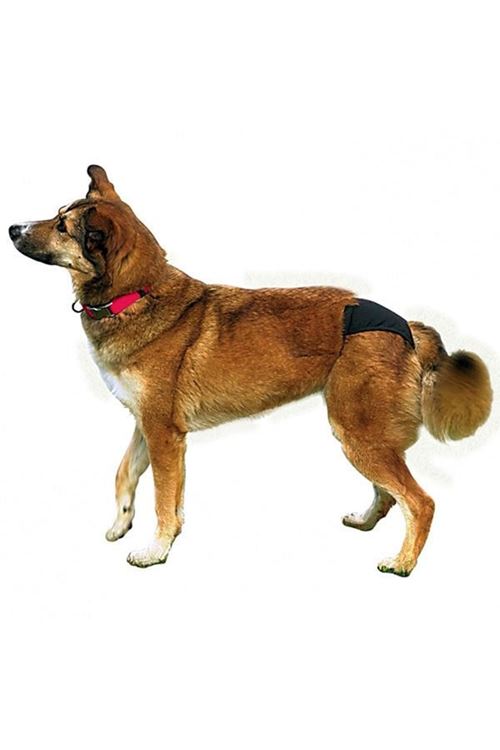 Trixie Hijyenik Köpek Külodu Large Siyah 50–59 Cm