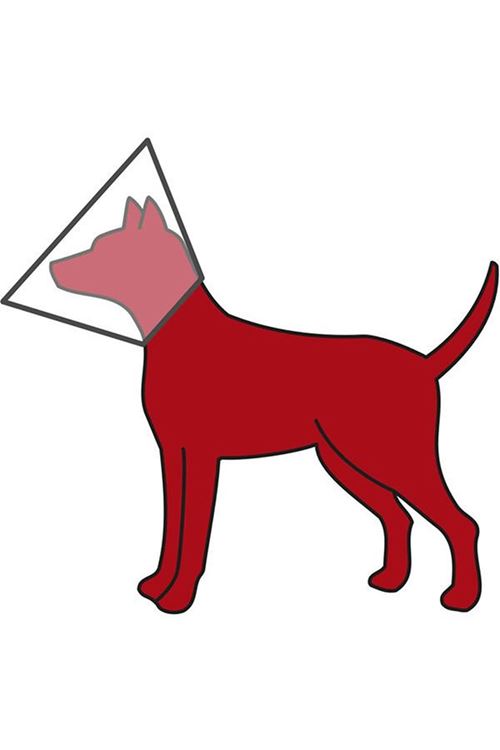 Trixie Kedi ve Köpek Koruyucu Yakalık Small 25-32x12 Cm