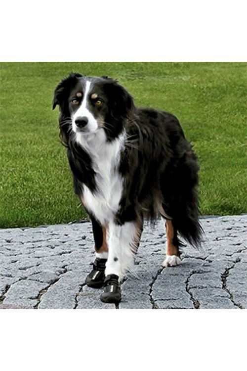 Trixie Köpek Yürüyüş Botu 2 Adet Xlarge Siyah