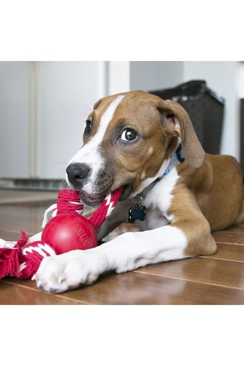 Kong İpli Top Köpek Oyuncağı Small 6.5 Cm