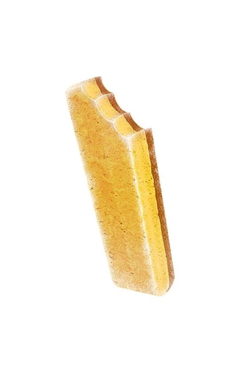 Dr. Zoo Helado Muzlu Köpek Dondurma 50 Gr