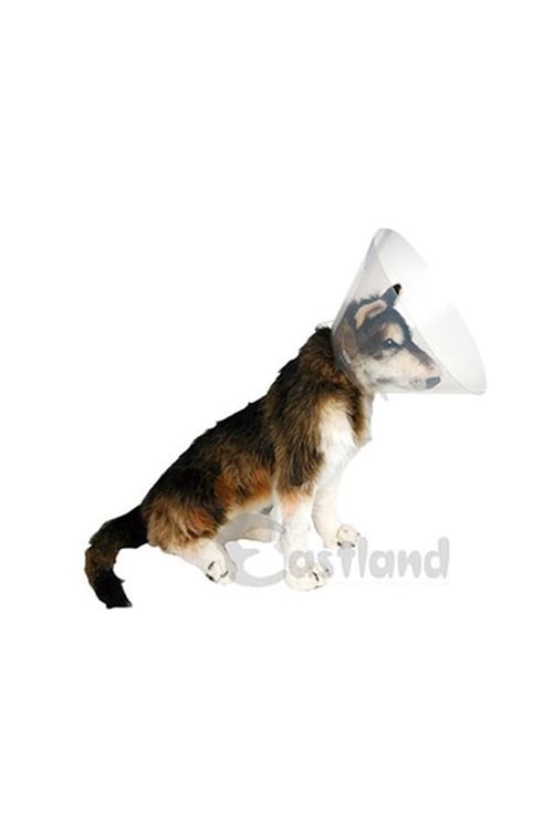 Eastland Elizabeth Köpek Yakalık 12.5 Cm