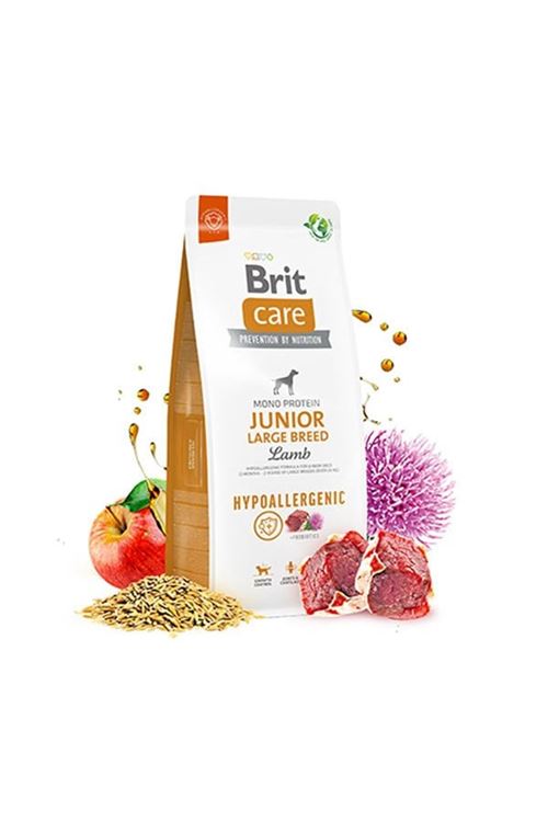Brit Care Hypo-Allergenic Kuzu Etli Büyük Irk Yavru Köpek Maması 12 Kg