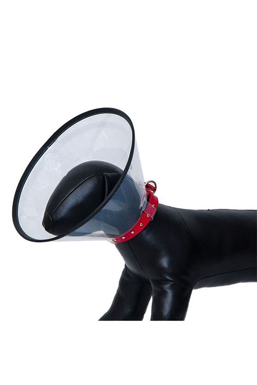 Eastland Dayanıklı Kedi ve Köpek Elizabeth Yakalığı 55.5x30.5 Cm