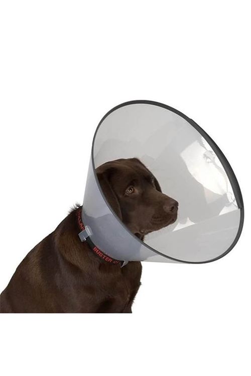 Dermo-Vet Köpek Elizabet Yakalığı 10 Cm