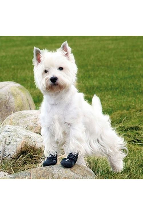 Trixie Köpek Yürüyüş Botu 2 Adet Xxsmall Siyah