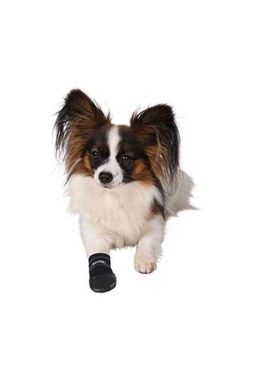 Trixie Köpek Çorabı Neopren 2 Adet Siyah Medium