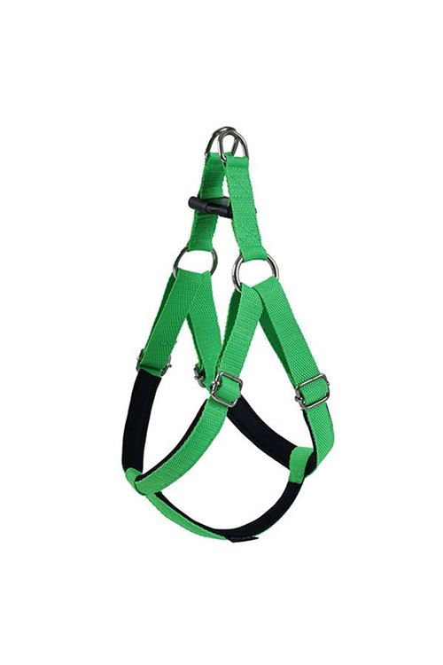 Actirex Neon Köpek Göğüs Tasması Yeşil Xsmall 1.5x35-40 Cm