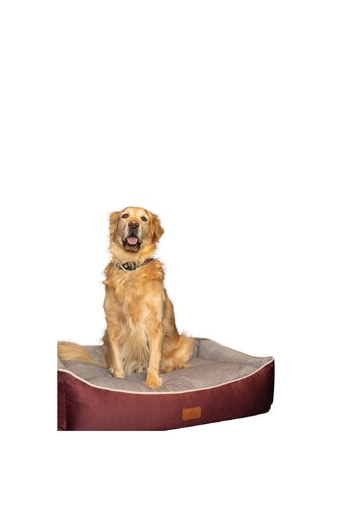 Peggy Lola Köpek Yatağı Bej Bordo Small 50x38x25 Cm