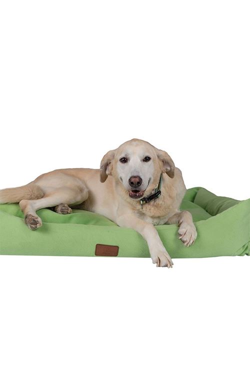 Peggy Luna Köpek Yatağı Fıstık Yeşili Small 50x38x25 Cm