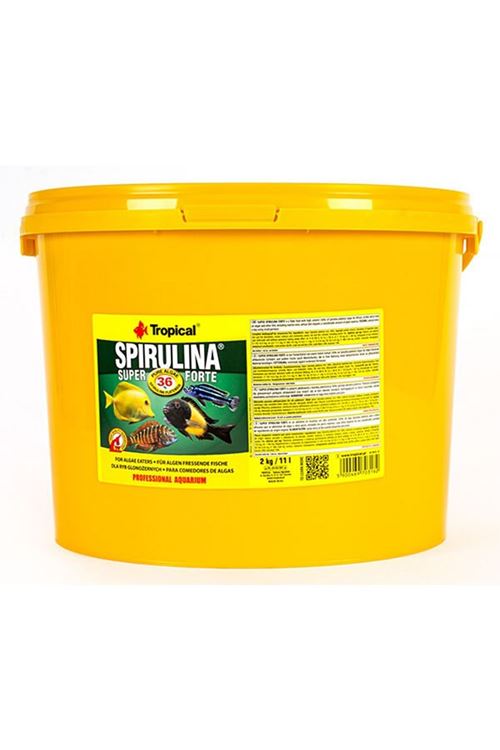 Tropical Spırulına Süper Forte Yoğun Spırulına İçerikli Balık Yemi 11 Lt 2 Kg